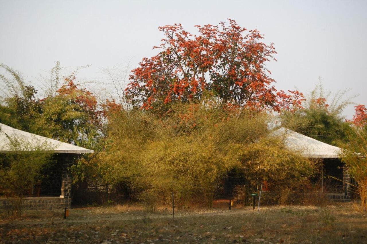 Renest Bandhavgarh Meadows Hotel Tāla Екстериор снимка